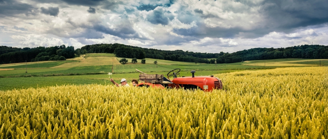 Going Up The Country