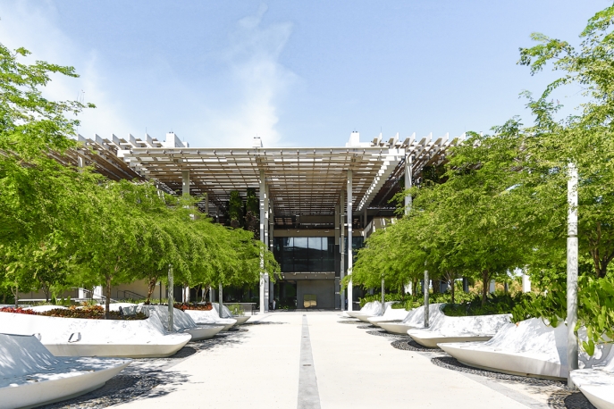 Perez Art Museum by Herzog De Meuron | Miami